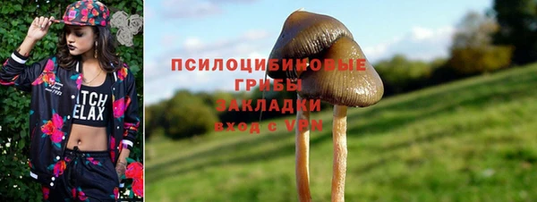 гашик Михайлов