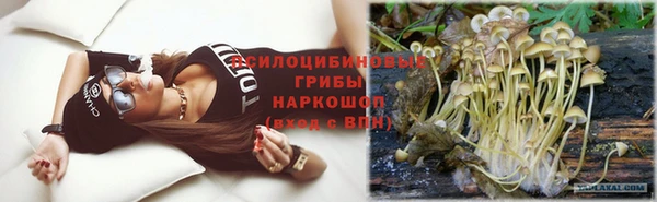 гашик Михайлов