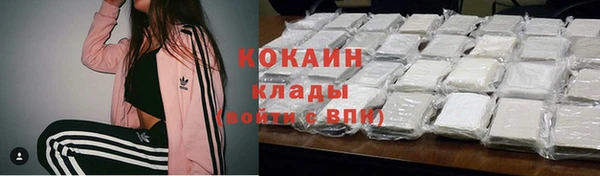 гидра Михайловка