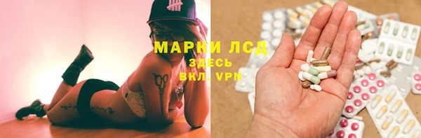 гидра Михайловка