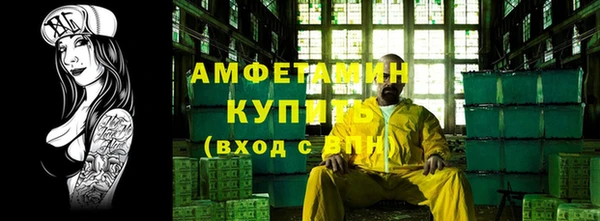 индика Гусь-Хрустальный