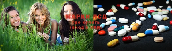 гидра Михайловка