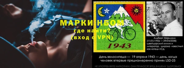 гидра Михайловка