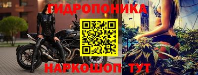 дмт Гусев