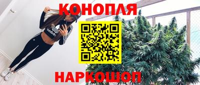 дмт Гусев
